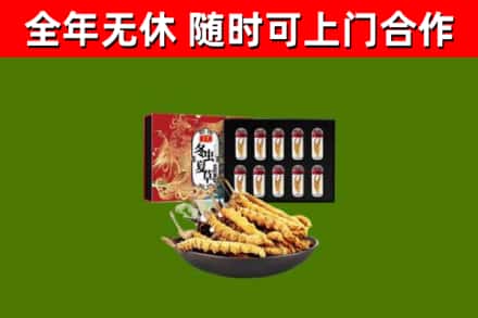 荔城区回收冬虫夏草价格